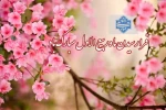 طلوع ماه ربیع الاول مبارک باد 2